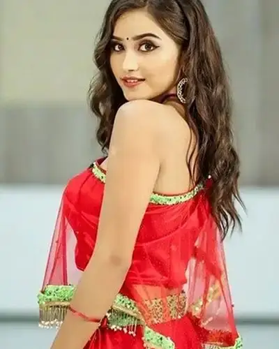 Call Girls Service Narendra Nagar